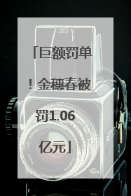 巨额罚单！金穗春被罚1.06亿元