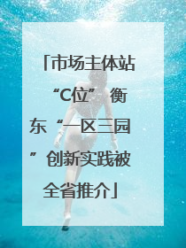 市场主体站“C位” 衡东“一区三园”创新实践被全省推介