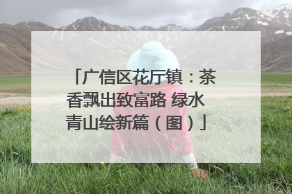 广信区花厅镇：茶香飘出致富路 绿水青山绘新篇（图）