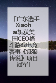 广东选手Xiaohai斩获美国CEO格斗游戏电竞赛事《饿狼传说》项目冠军