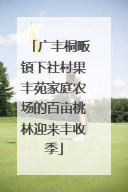 广丰桐畈镇下社村果丰苑家庭农场的百亩桃林迎来丰收季