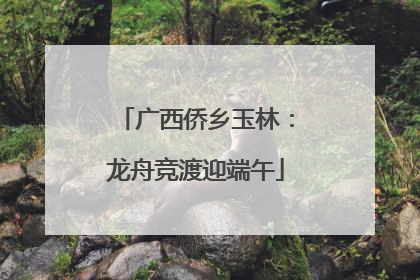 广西侨乡玉林：龙舟竞渡迎端午