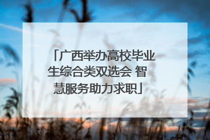 广西举办高校毕业生综合类双选会 智慧服务助力求职