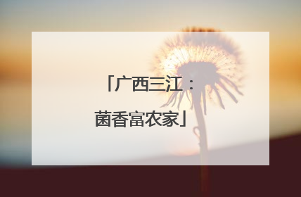广西三江：菌香富农家
