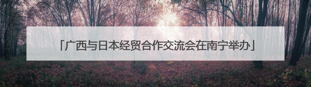 广西与日本经贸合作交流会在南宁举办