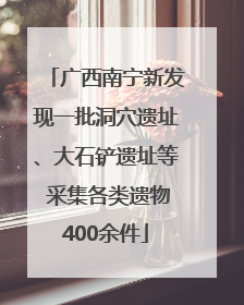广西南宁新发现一批洞穴遗址、大石铲遗址等 采集各类遗物400余件