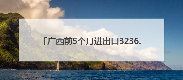 广西前5个月进出口3236.4亿元 同比增长14.8%