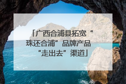 广西合浦县拓宽“珠还合浦”品牌产品“走出去”渠道