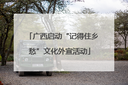广西启动“记得住乡愁”文化外宣活动