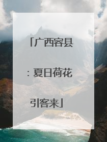 广西容县：夏日荷花引客来