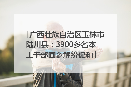 广西壮族自治区玉林市陆川县：3900多名本土干部回乡解纷促和