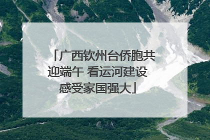 广西钦州台侨胞共迎端午 看运河建设感受家国强大