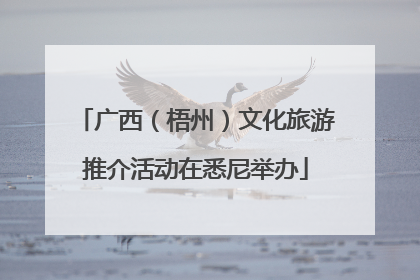广西（梧州）文化旅游推介活动在悉尼举办