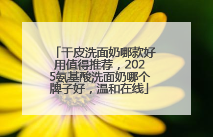干皮洗面奶哪款好用值得推荐，2025氨基酸洗面奶哪个牌子好，温和在线