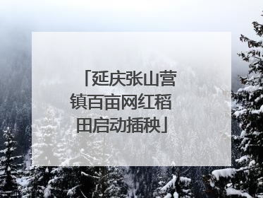 延庆张山营镇百亩网红稻田启动插秧
