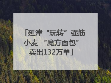 延津“玩转”强筋小麦 “魔方面包”卖出132万单
