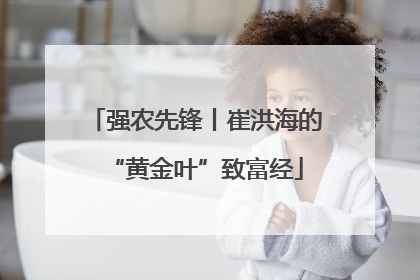 强农先锋丨崔洪海的“黄金叶”致富经