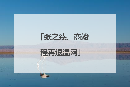 张之臻、商竣程再退温网