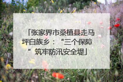 张家界市桑植县走马坪白族乡：“三个保障”筑牢防汛安全堤