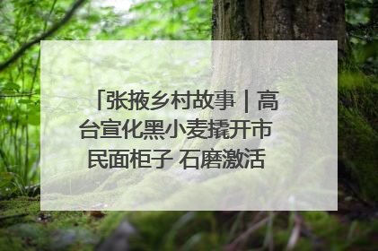 张掖乡村故事｜高台宣化黑小麦撬开市民面柜子 石磨激活村集体钱匣子