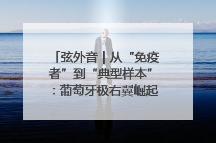 弦外音｜从“免疫者”到“典型样本”：葡萄牙极右翼崛起背后的欧洲困局
