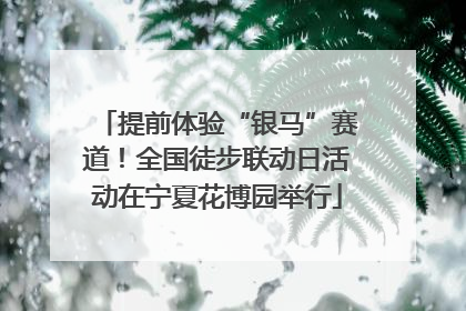 提前体验“银马”赛道！全国徒步联动日活动在宁夏花博园举行