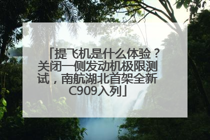 提飞机是什么体验？关闭一侧发动机极限测试，南航湖北首架全新C909入列