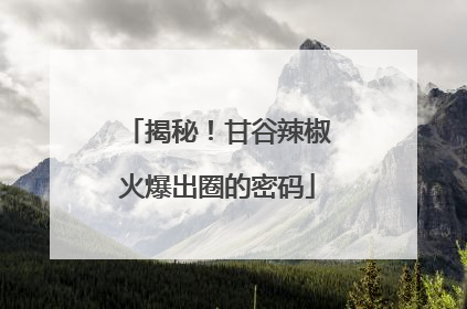 揭秘！甘谷辣椒火爆出圈的密码