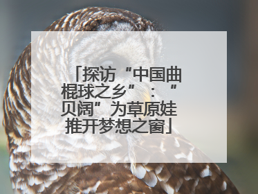 探访“中国曲棍球之乡”：“贝阔”为草原娃推开梦想之窗