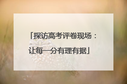 探访高考评卷现场：让每一分有理有据