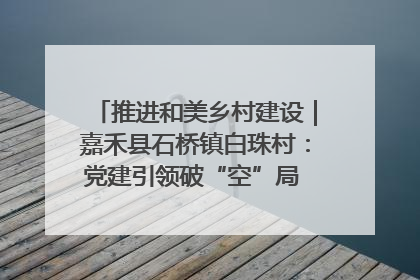 推进和美乡村建设｜嘉禾县石桥镇白珠村：党建引领破“空”局 乡贤聚力绘就新图景