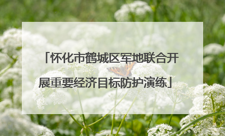 怀化市鹤城区军地联合开展重要经济目标防护演练