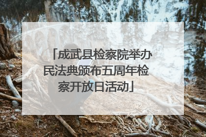成武县检察院举办民法典颁布五周年检察开放日活动