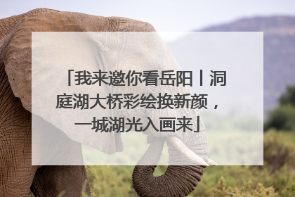 我来邀你看岳阳丨洞庭湖大桥彩绘换新颜，一城湖光入画来