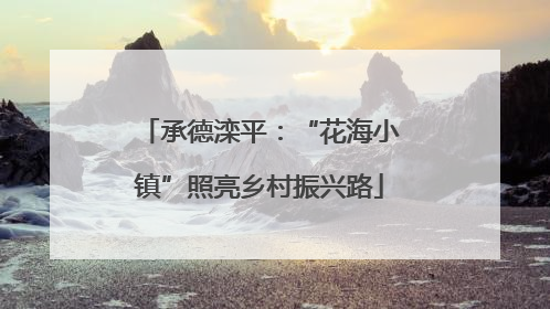 承德滦平：“花海小镇”照亮乡村振兴路