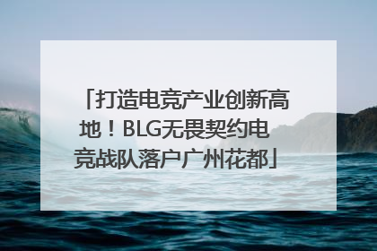打造电竞产业创新高地！BLG无畏契约电竞战队落户广州花都
