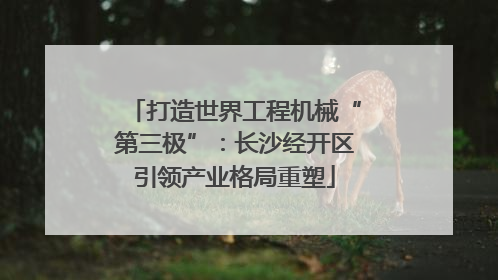 打造世界工程机械“第三极”：长沙经开区引领产业格局重塑