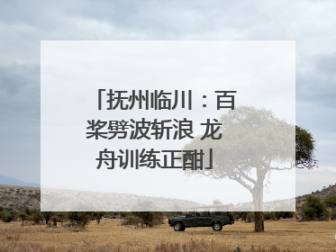 抚州临川：百桨劈波斩浪 龙舟训练正酣