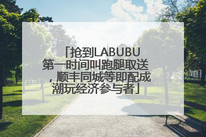 抢到LABUBU第一时间叫跑腿取送，顺丰同城等即配成潮玩经济参与者