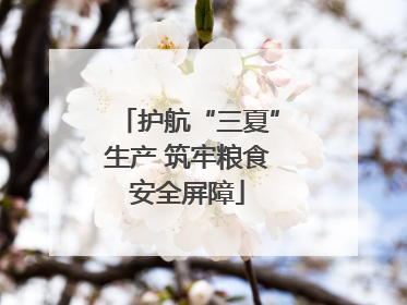 护航“三夏”生产 筑牢粮食安全屏障