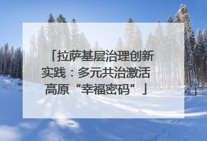 拉萨基层治理创新实践：多元共治激活高原“幸福密码”