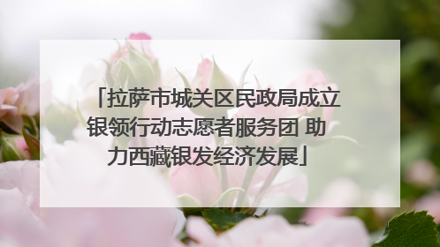 拉萨市城关区民政局成立银领行动志愿者服务团 助力西藏银发经济发展