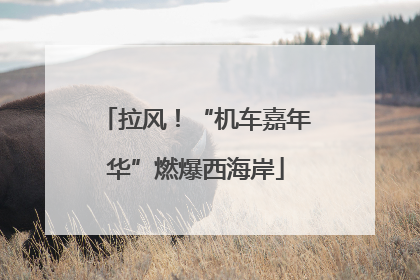 拉风！“机车嘉年华”燃爆西海岸