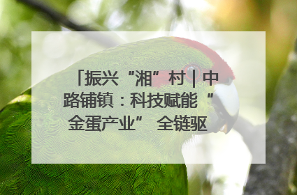 振兴“湘”村｜中路铺镇：科技赋能“金蛋产业” 全链驱动乡村振兴