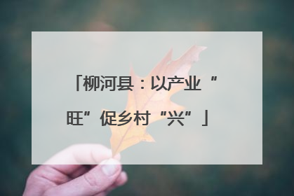 柳河县：以产业“旺”促乡村“兴”