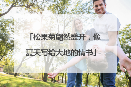 松果菊翩然盛开，像夏天写给大地的情书