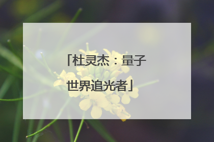 杜灵杰：量子世界追光者