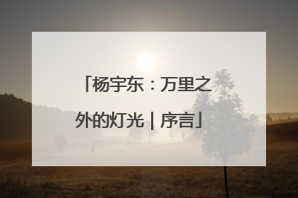 杨宇东：万里之外的灯光｜序言