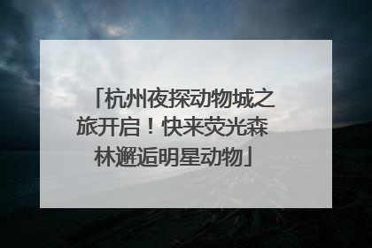 杭州夜探动物城之旅开启！快来荧光森林邂逅明星动物