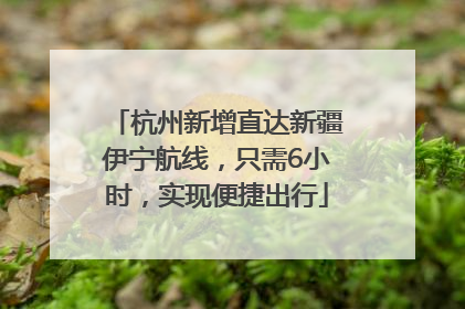 杭州新增直达新疆伊宁航线，只需6小时，实现便捷出行